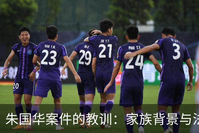 朱国华案件的教训：家族背景与法律责任的分离